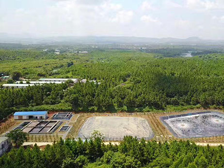 樂昌市豬場養殖廢水處理工程