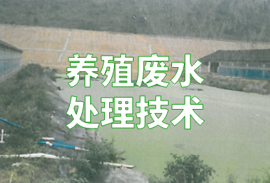 【環保干貨】養殖廢水如何處理？4個方法，快看你的豬場適合哪一種